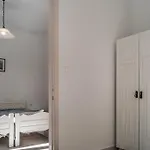 Jasmin * Гоувия