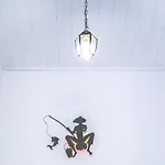 Jasmin * Гоувия